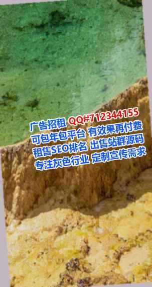 荆州代母充电公司